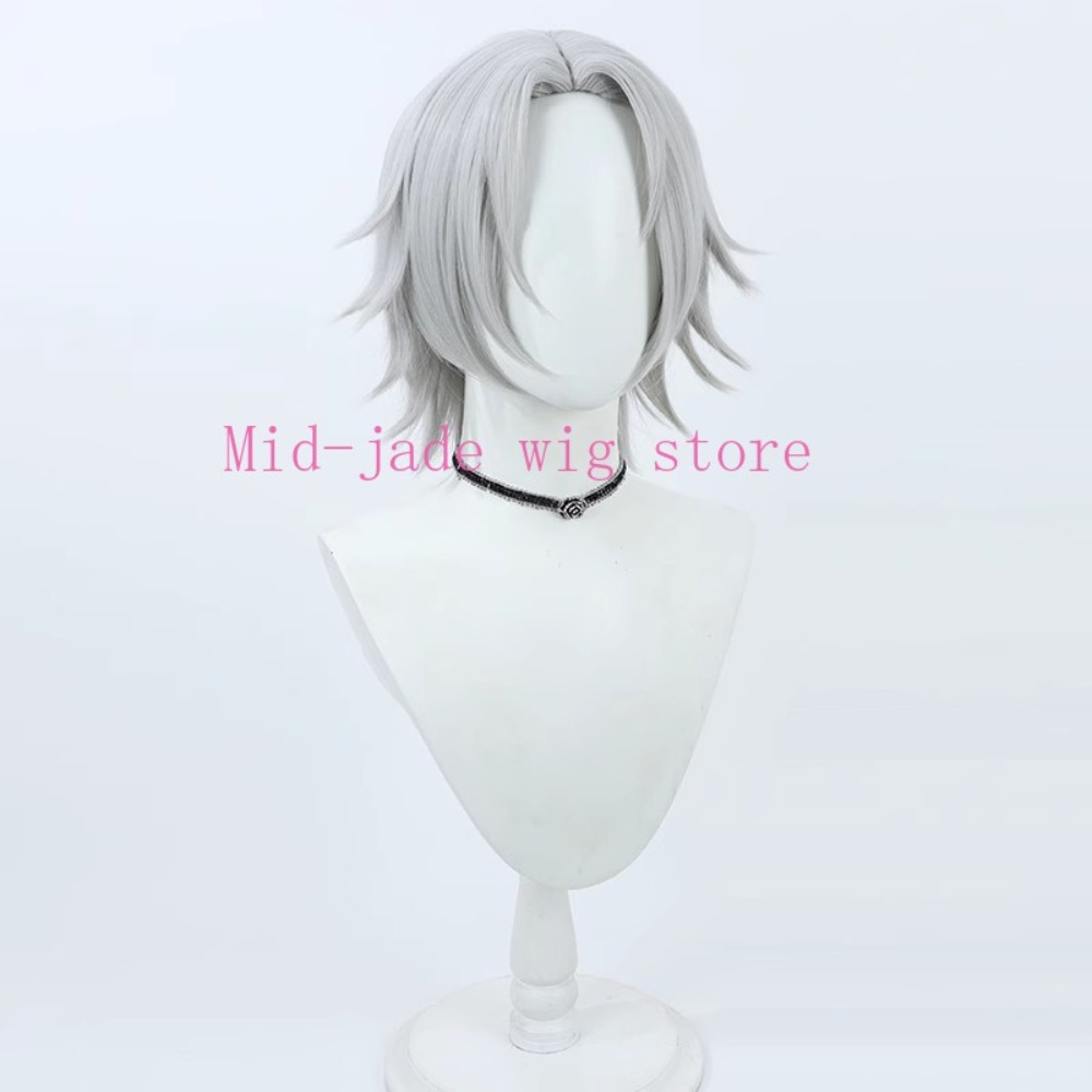 Hayato Gokudera Cosplay Pruik  - Photography Japanese recensie en prijs